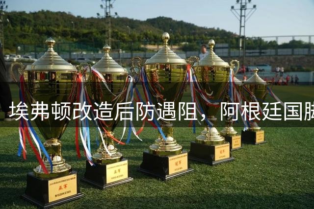 埃弗顿改造后防遇阻，阿根廷国脚成莫耶斯新目标？